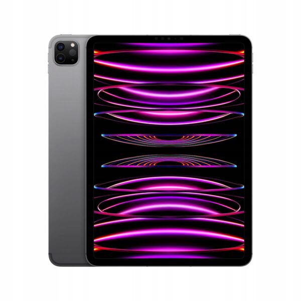 Apple iPad Pro 11" M2 256GB Wifi + Cellular